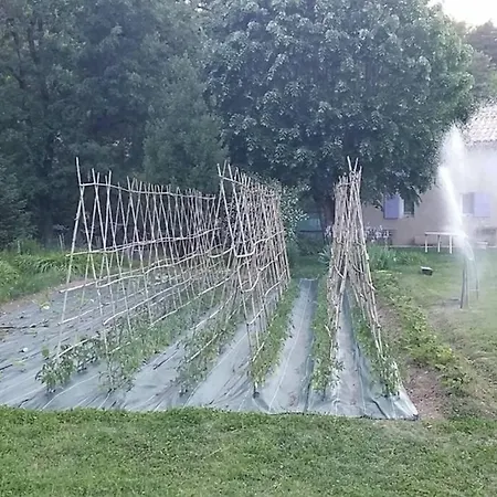 Maison Avec Riviere, Piscine, Spa, Sauna Infrarouge,terrain Boules, Ping-pong, Volley Et Badminton * Sainte-Tulle